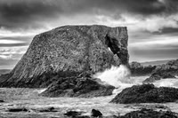 Elephant Rock 440