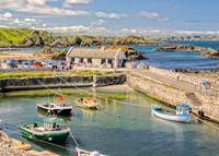 Ballintoy Harbour 239
