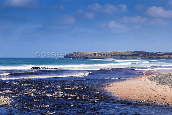Bushfoot Bay 362