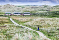 Causeway Tram 361
