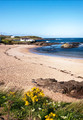 Portballintrae Small Beach 082