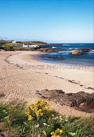 Portballintrae Small Beach 082