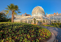 Palm House 272