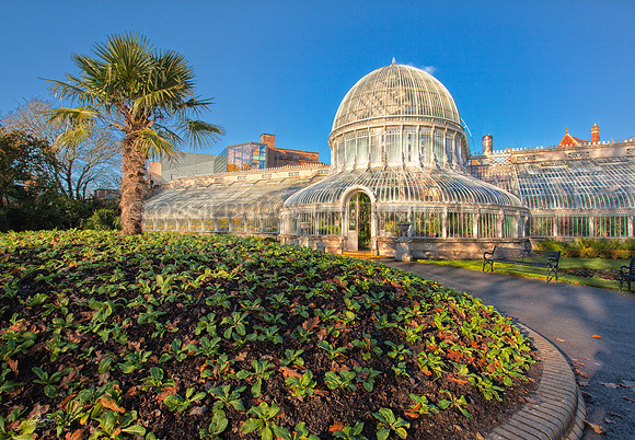 Palm House 272