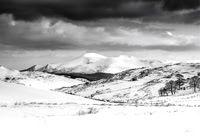 View To The Mournes 285