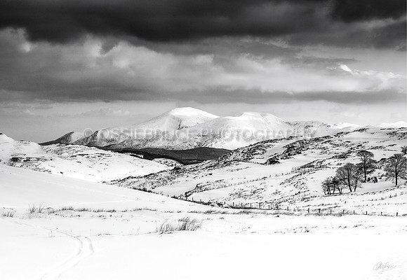 View To The Mournes 285
