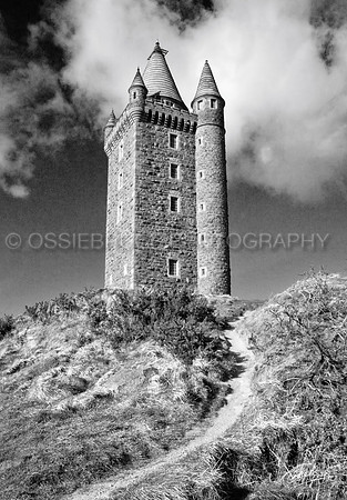 Scrabo Tower 147