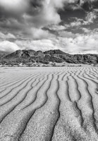 Lines in the Sand 382