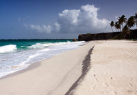 Bottom Bay 170