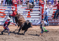 Calgary Stampede 379