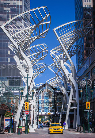 Calgary 378