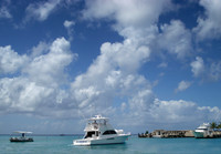 Gone Fishing 043