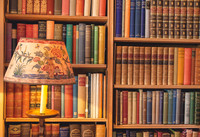 Library 391