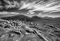 Mournes Landsacpe 397