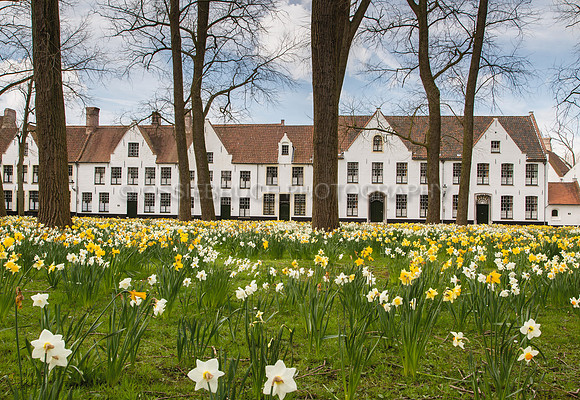 The Beguinale Bruges 341