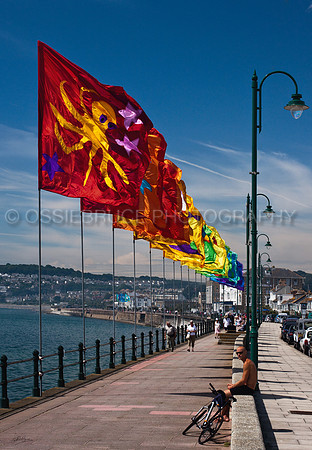 Penzance 393