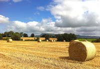 Binevenagh Bales 179