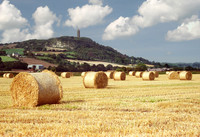 Scrabo Bales 103