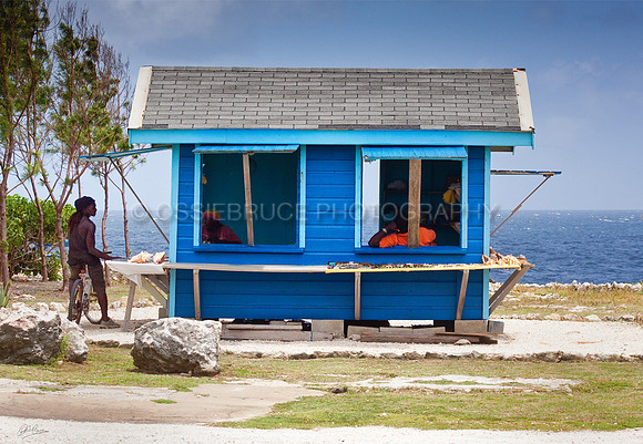 Beach Shop 402