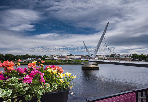 Peace Bridge 405
