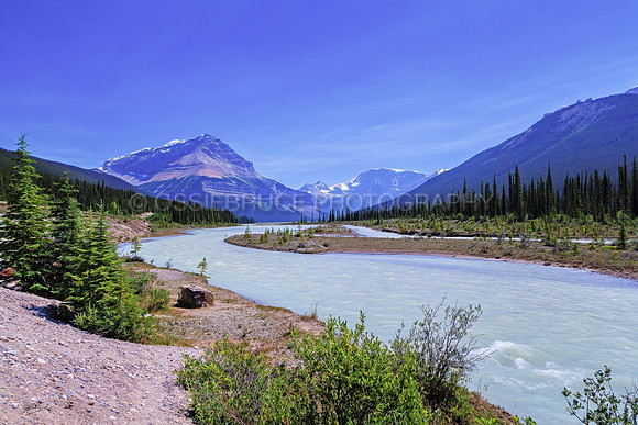 Bow River 413