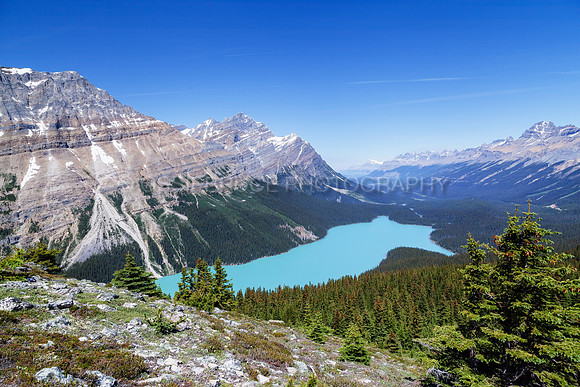 Peyto Lake 412