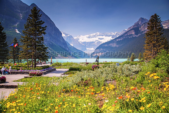 Lake Louise 416