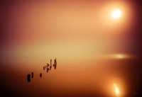 Misty Morning 394