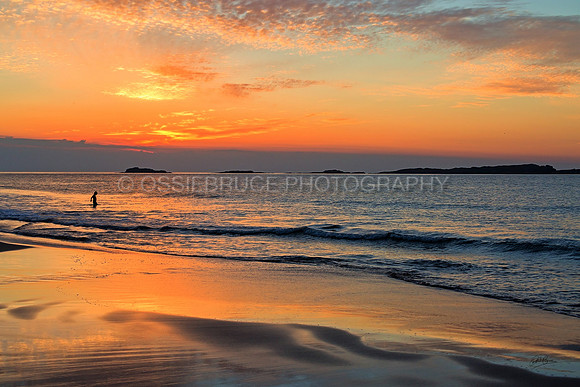 Evening Dip at Whiterocks 439