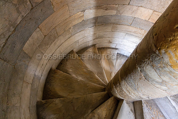 Descending the Tower of Pisa 470