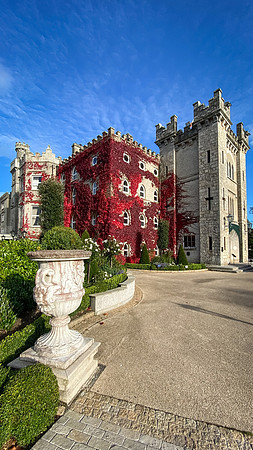 Cabra Castle in Autumn 481