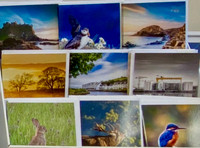 Selection of Greeting Cards Available