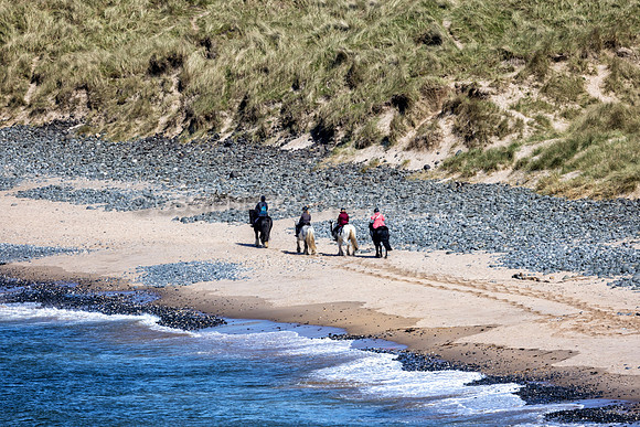 Horse Ride on Runkerry Strand 506